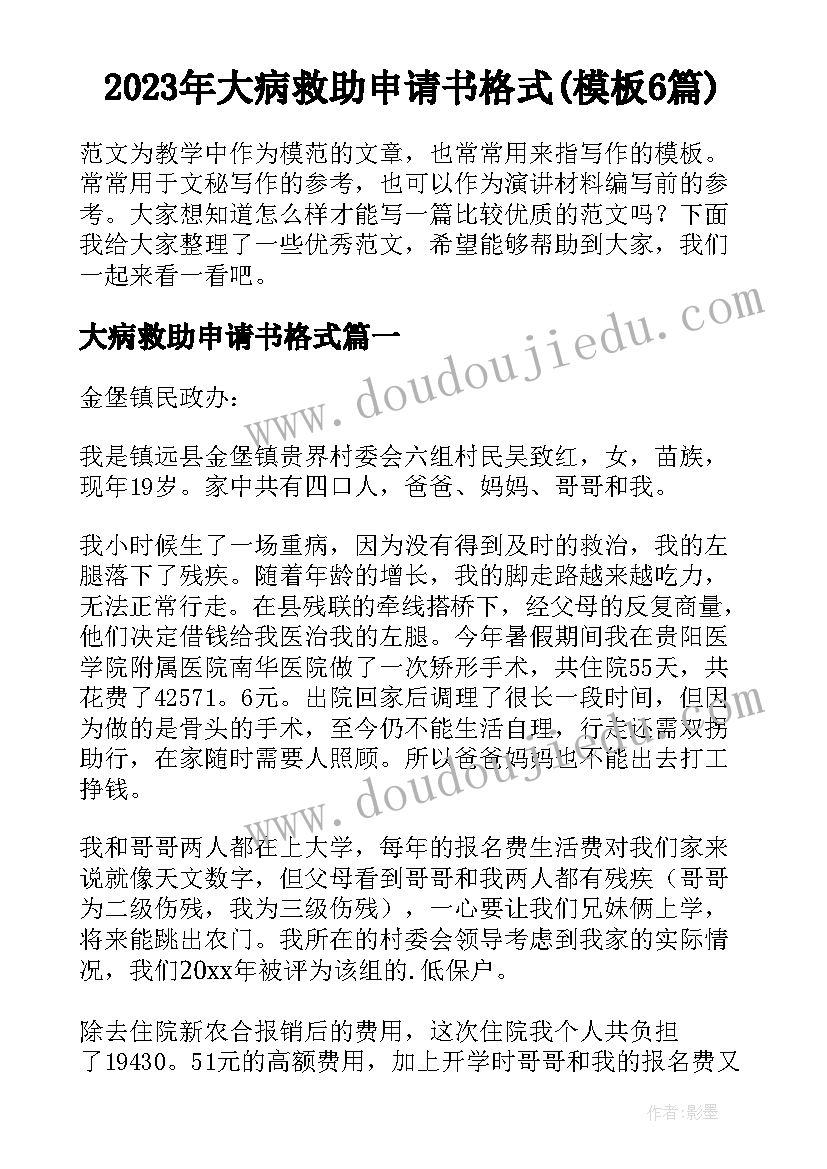 2023年大病救助申请书格式(模板6篇)