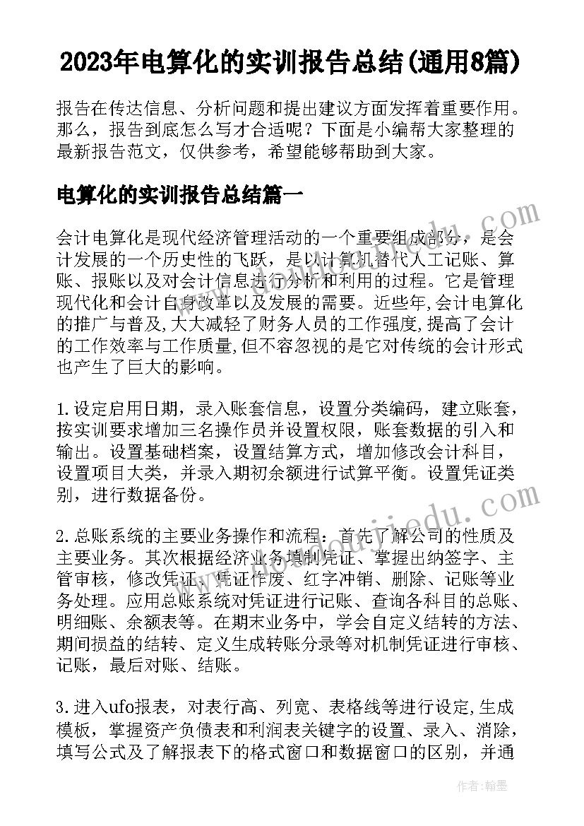 2023年电算化的实训报告总结(通用8篇)