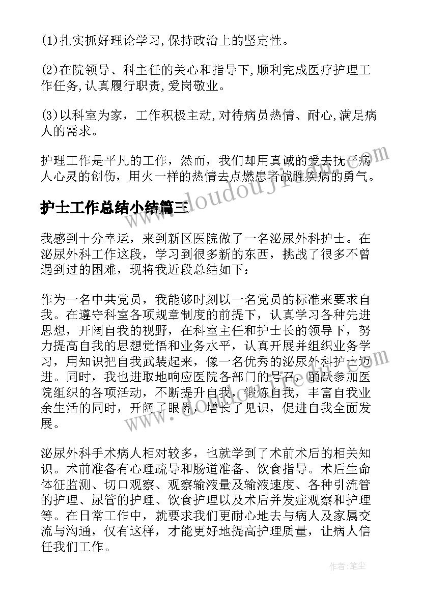 护士工作总结小结 护士工作总结(实用8篇)