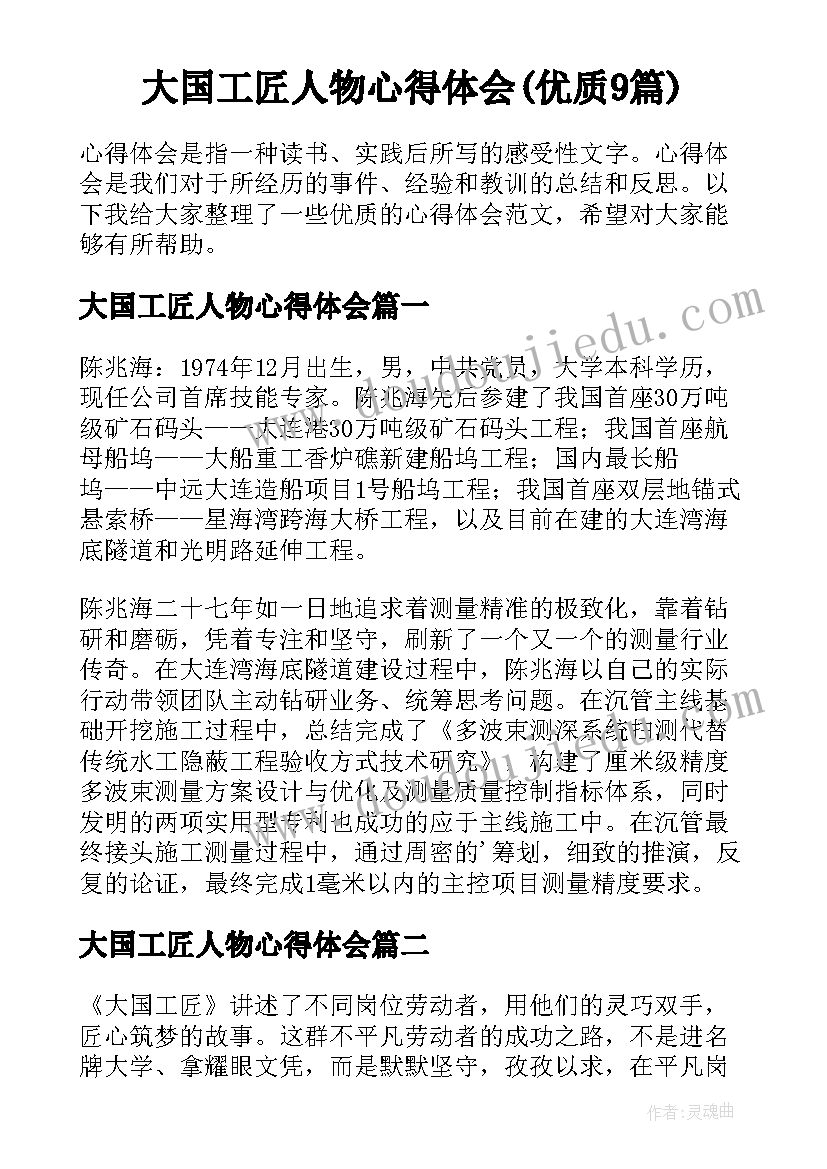 大国工匠人物心得体会(优质9篇)