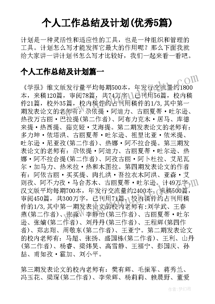 个人工作总结及计划(优秀5篇)