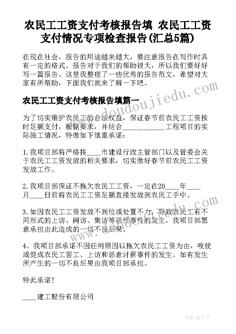 农民工工资支付考核报告填 农民工工资支付情况专项检查报告(汇总5篇)