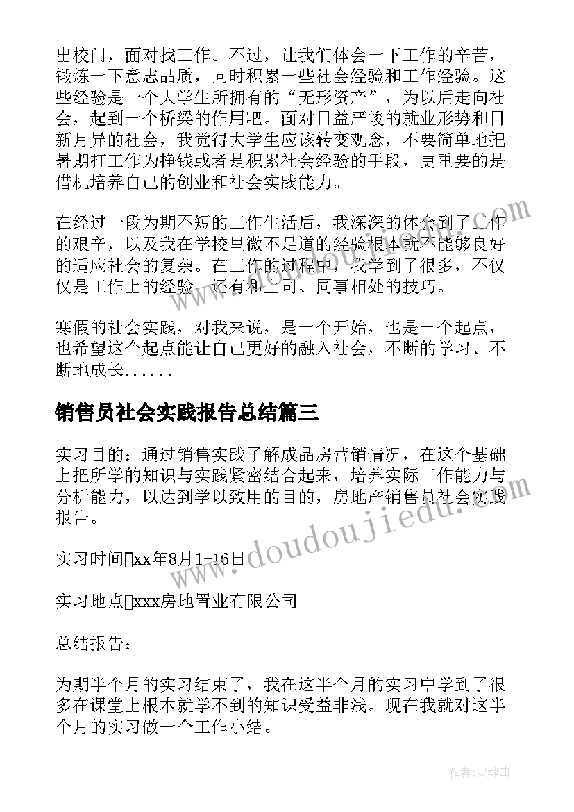 销售员社会实践报告总结 销售员社会实践报告(精选8篇)