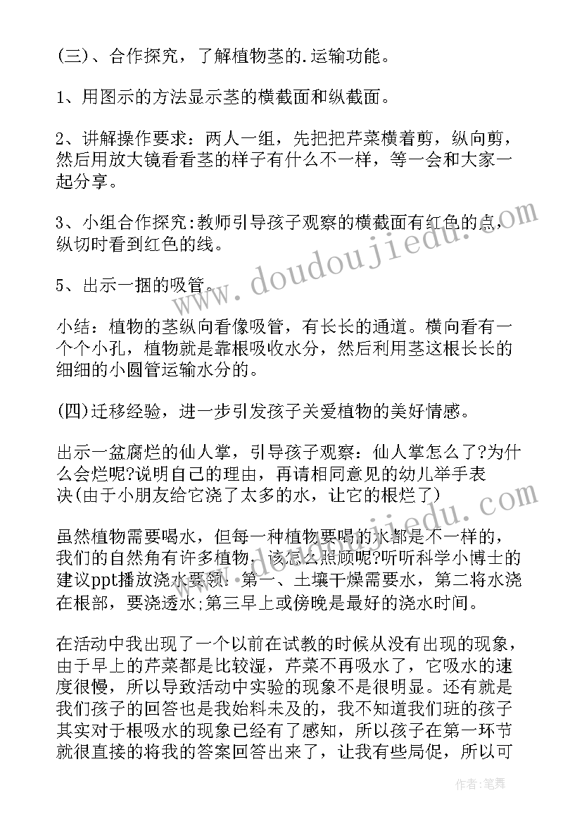 最新有趣的植物大班科学教案反思与评价(精选5篇)