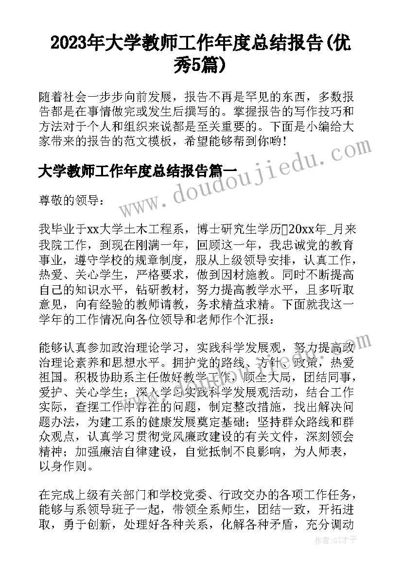 2023年大学教师工作年度总结报告(优秀5篇)