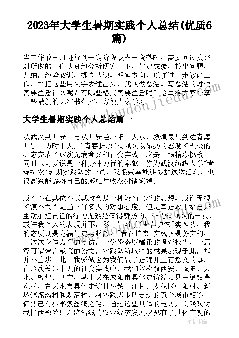 2023年大学生暑期实践个人总结(优质6篇)