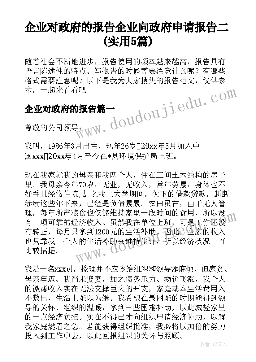 企业对政府的报告 企业向政府申请报告二(实用5篇)