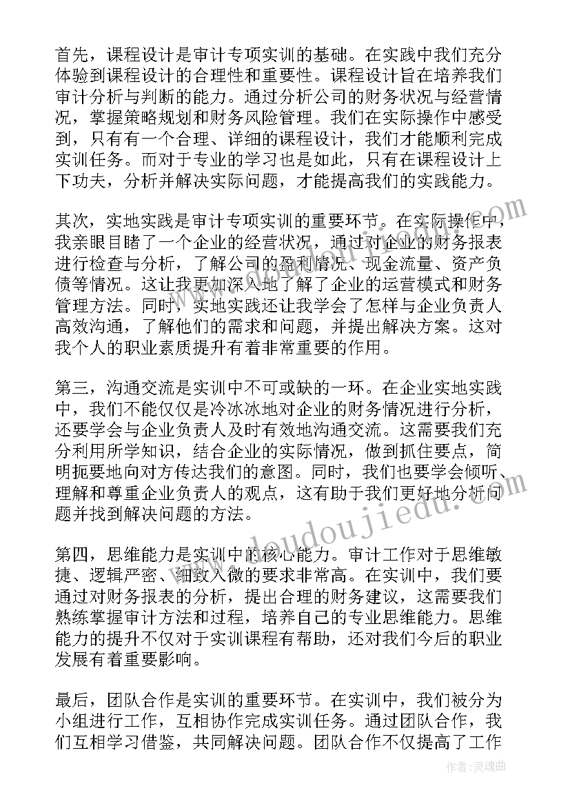 审计项目工作总结(精选6篇)