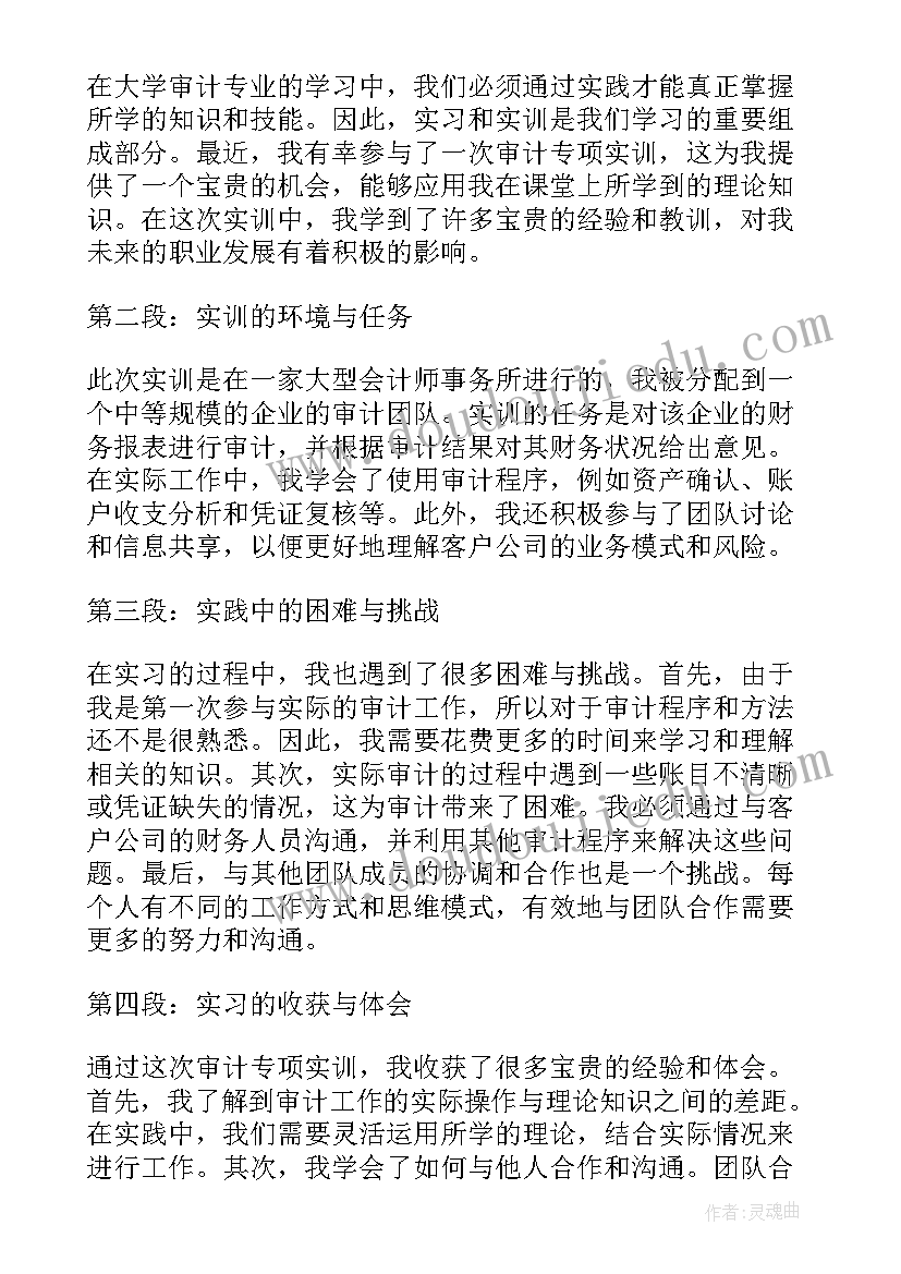 审计项目工作总结(精选6篇)