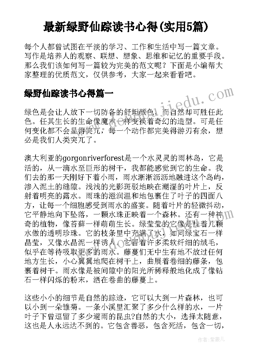 最新绿野仙踪读书心得(实用5篇)