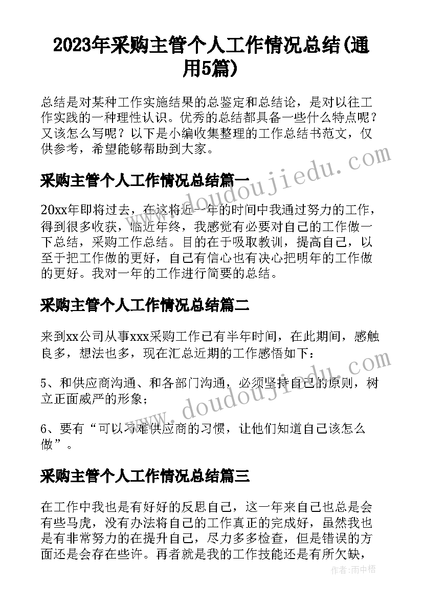 2023年采购主管个人工作情况总结(通用5篇)