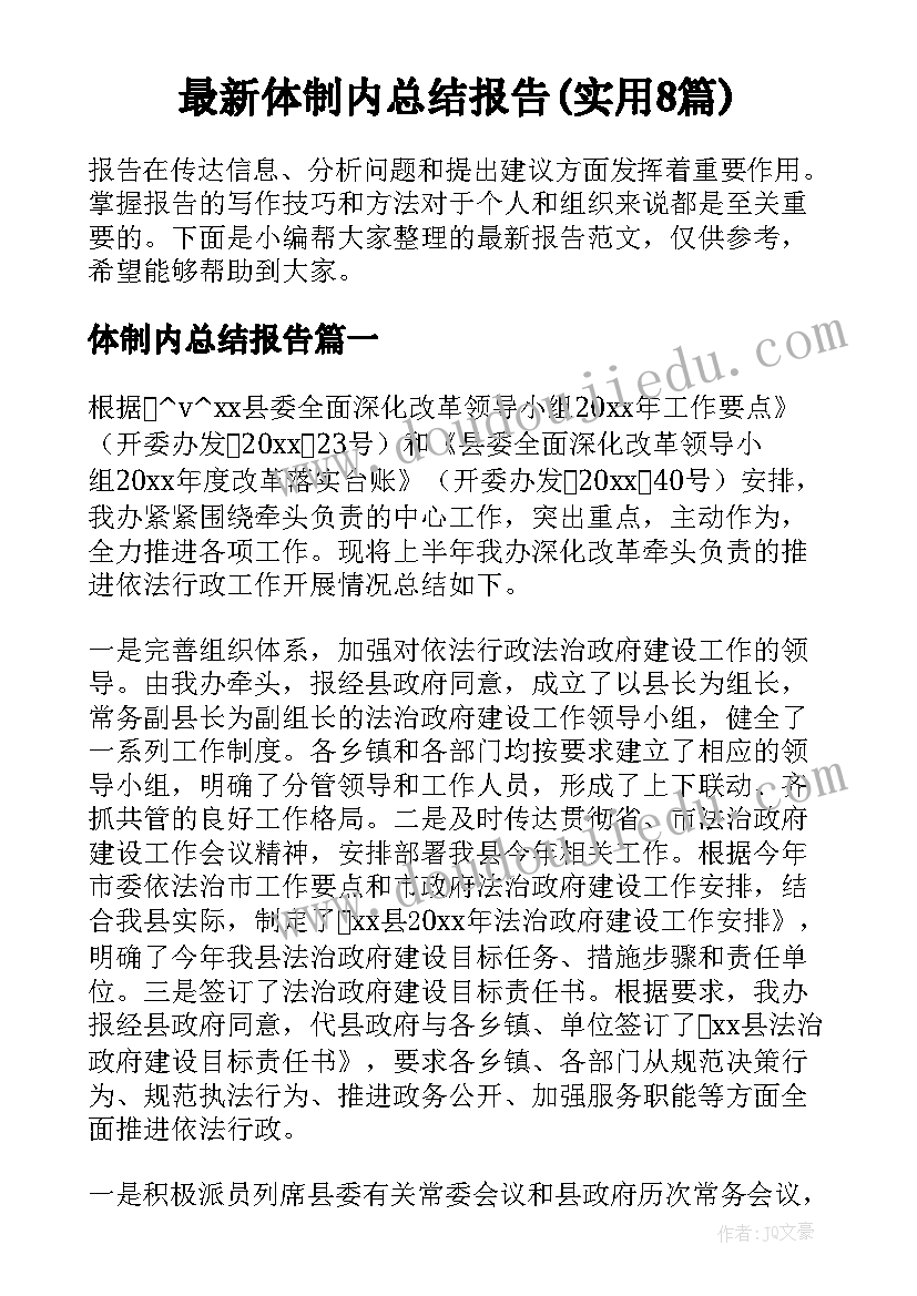 最新体制内总结报告(实用8篇)