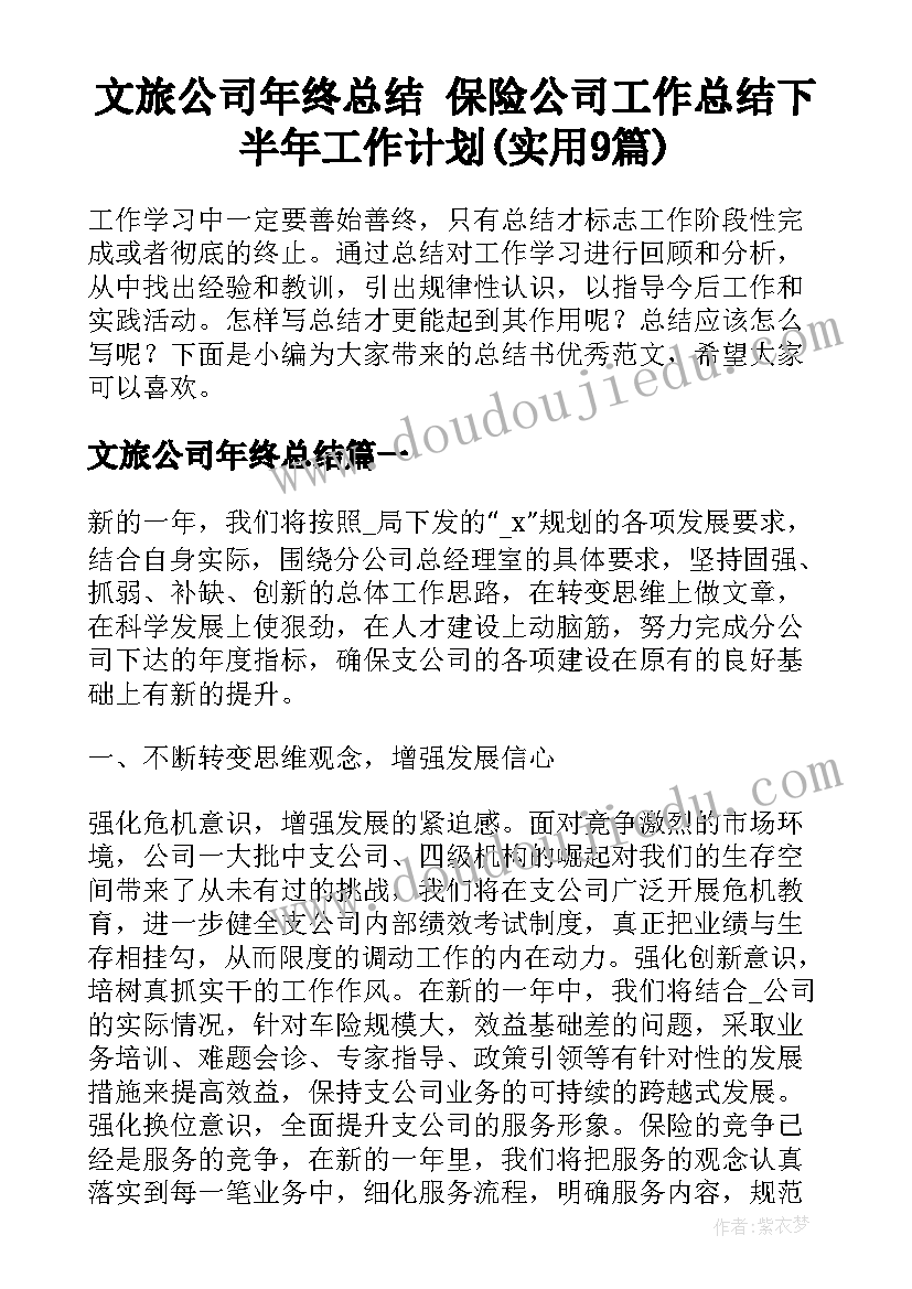 文旅公司年终总结 保险公司工作总结下半年工作计划(实用9篇)