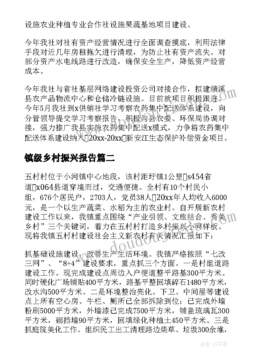 镇级乡村振兴报告(精选5篇)