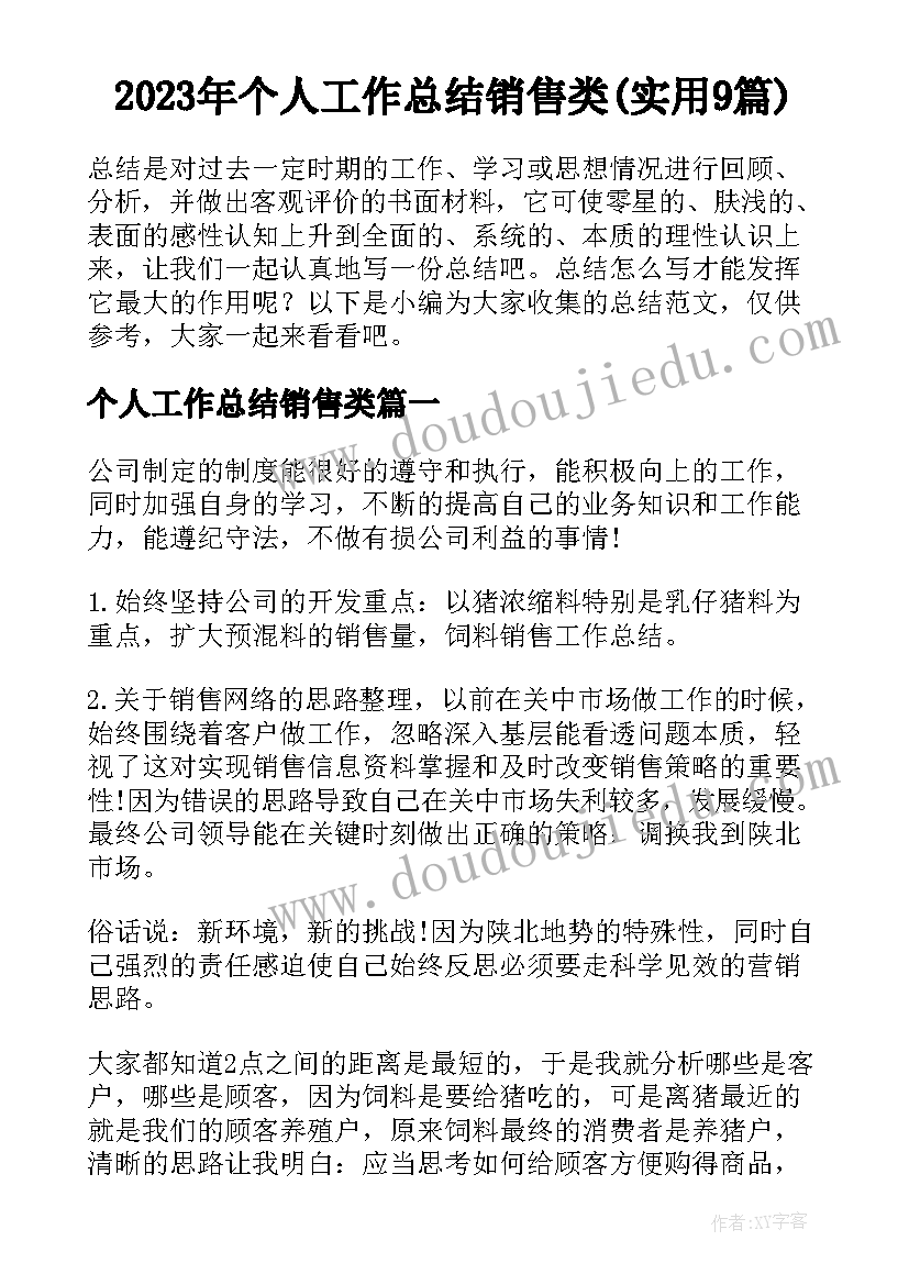 2023年个人工作总结销售类(实用9篇)