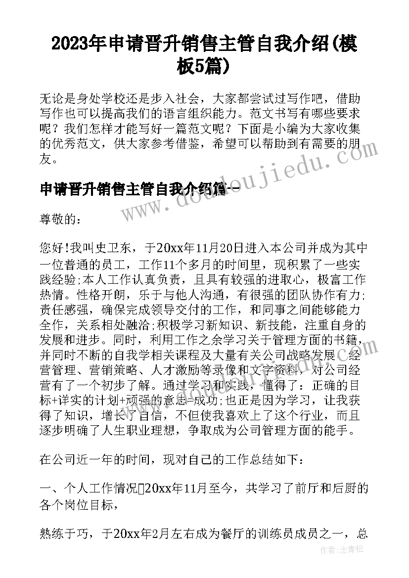 2023年申请晋升销售主管自我介绍(模板5篇)