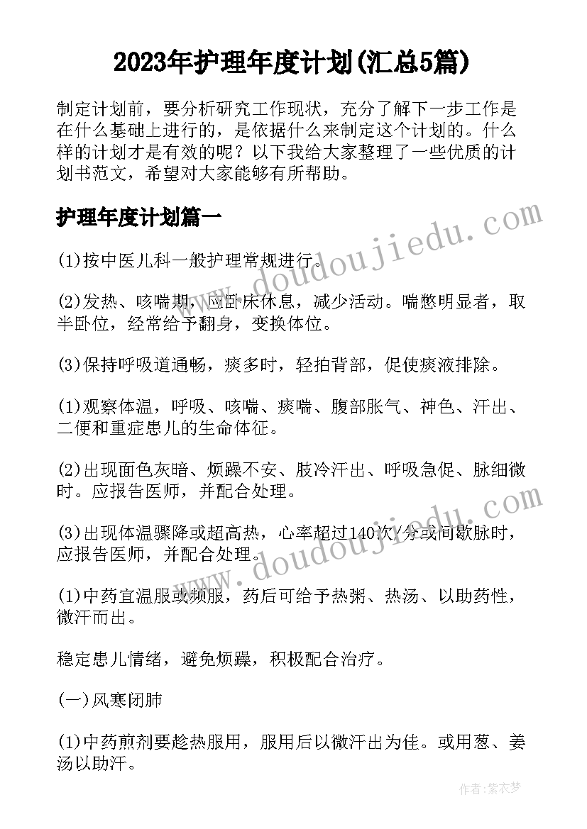 2023年护理年度计划(汇总5篇)