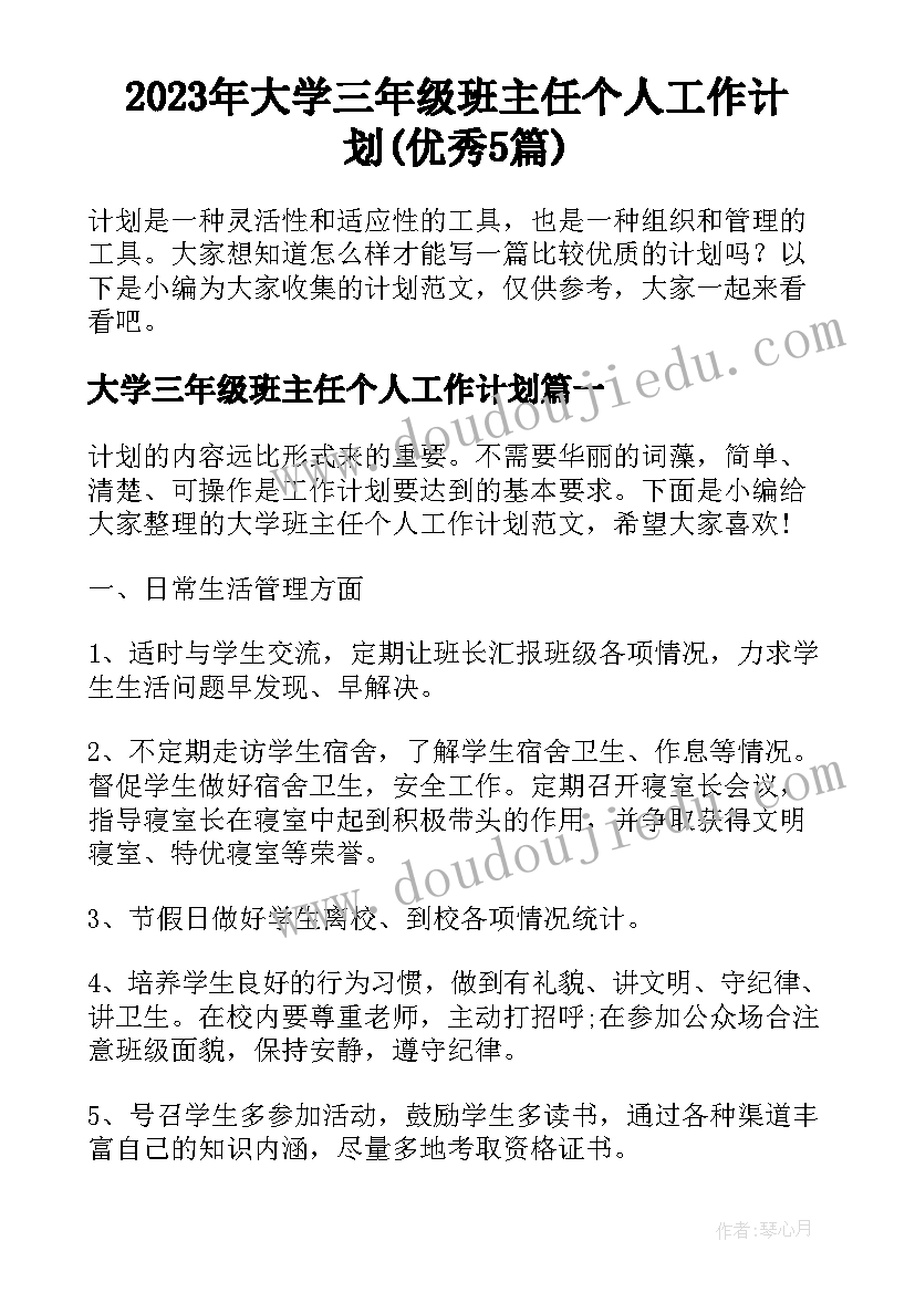 2023年大学三年级班主任个人工作计划(优秀5篇)