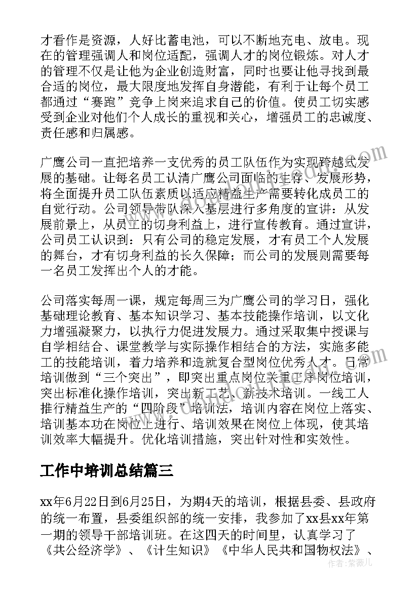 2023年工作中培训总结 培训工作总结(通用7篇)