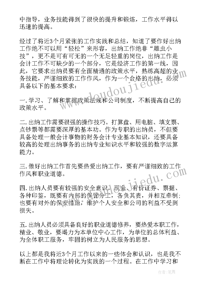 出纳试用期工作计划 出纳人员试用期转正工作总结(汇总5篇)