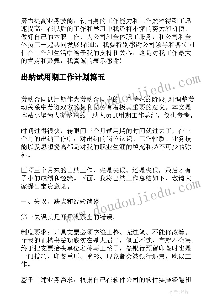 出纳试用期工作计划 出纳人员试用期转正工作总结(汇总5篇)