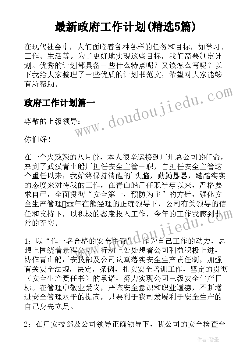 最新政府工作计划(精选5篇)