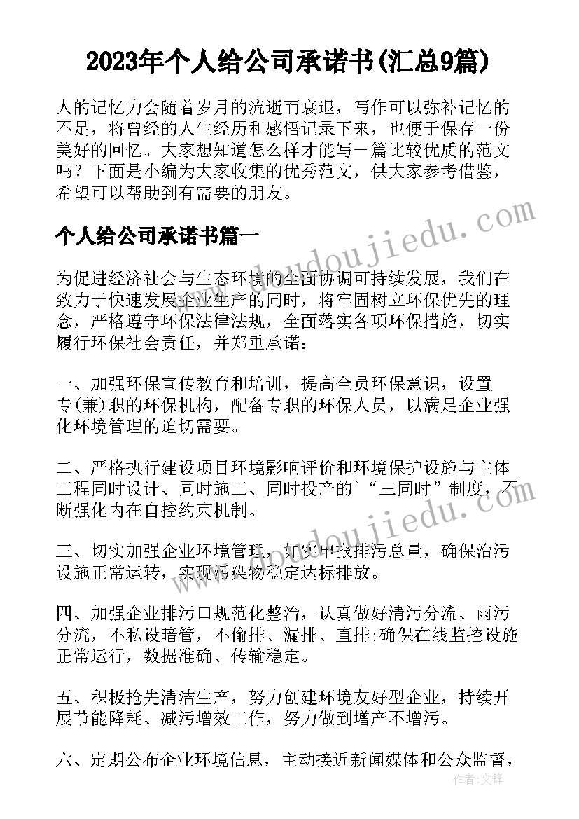 2023年个人给公司承诺书(汇总9篇)