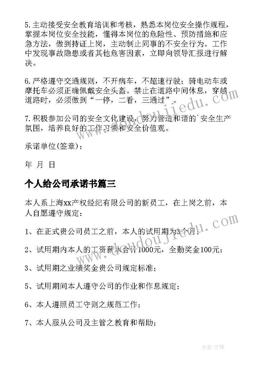 2023年个人给公司承诺书(汇总9篇)