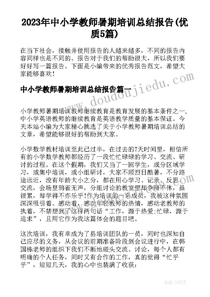 2023年中小学教师暑期培训总结报告(优质5篇)