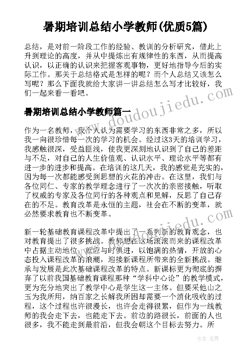 暑期培训总结小学教师(优质5篇)