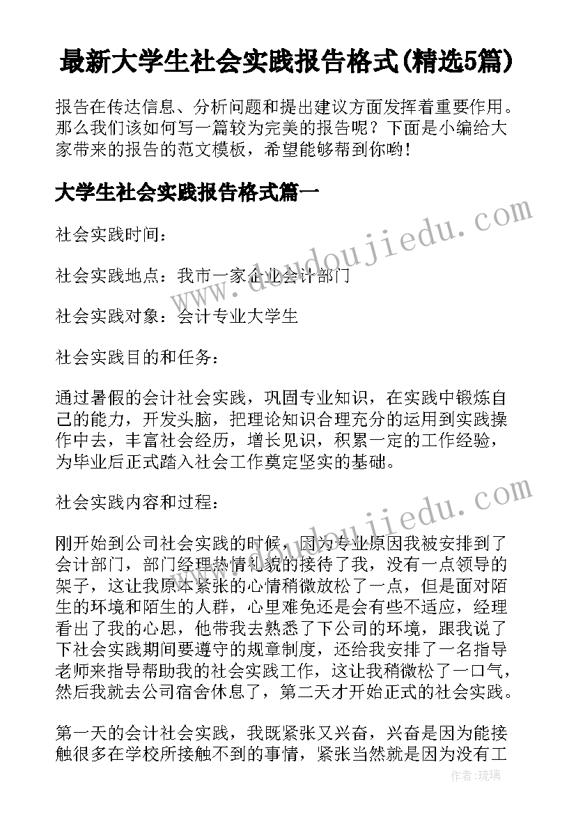 最新大学生社会实践报告格式(精选5篇)