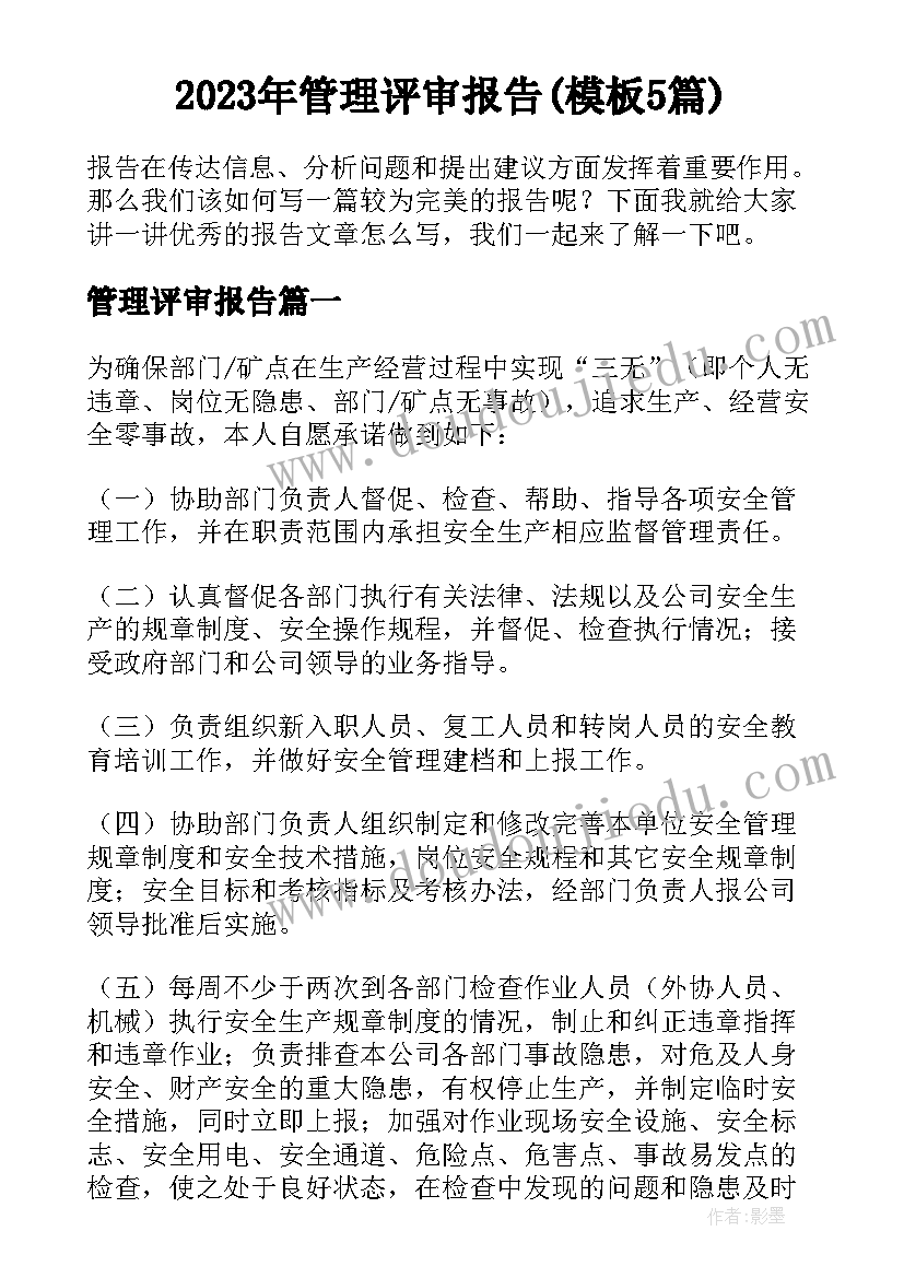 2023年管理评审报告(模板5篇)