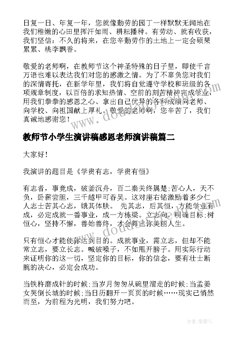 2023年教师节小学生演讲稿感恩老师演讲稿 小学生教师节演讲稿(优秀8篇)