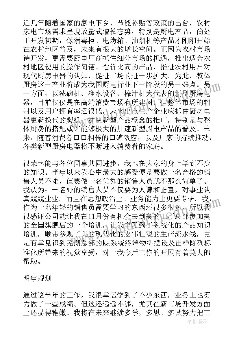 业务员个人年终工作总结及工作计划(通用7篇)