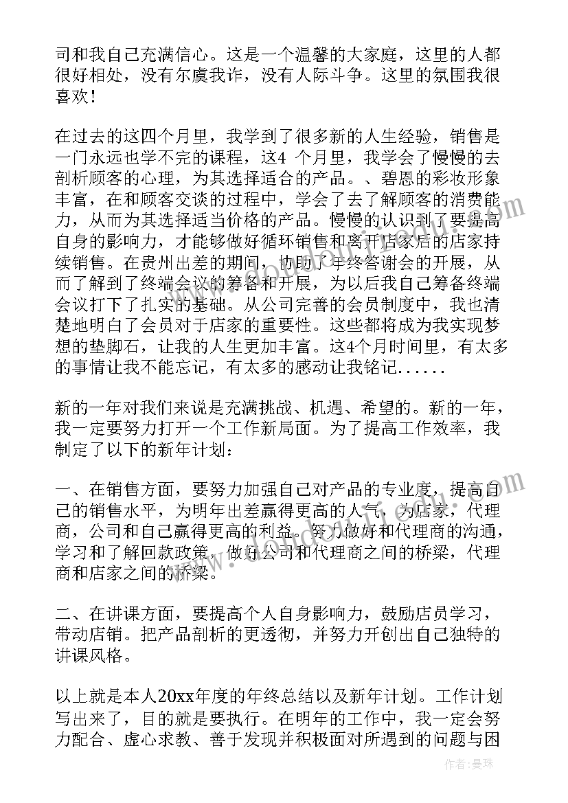 业务员个人年终工作总结及工作计划(通用7篇)