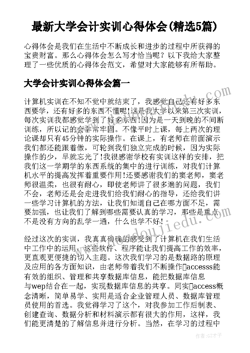 最新大学会计实训心得体会(精选5篇)