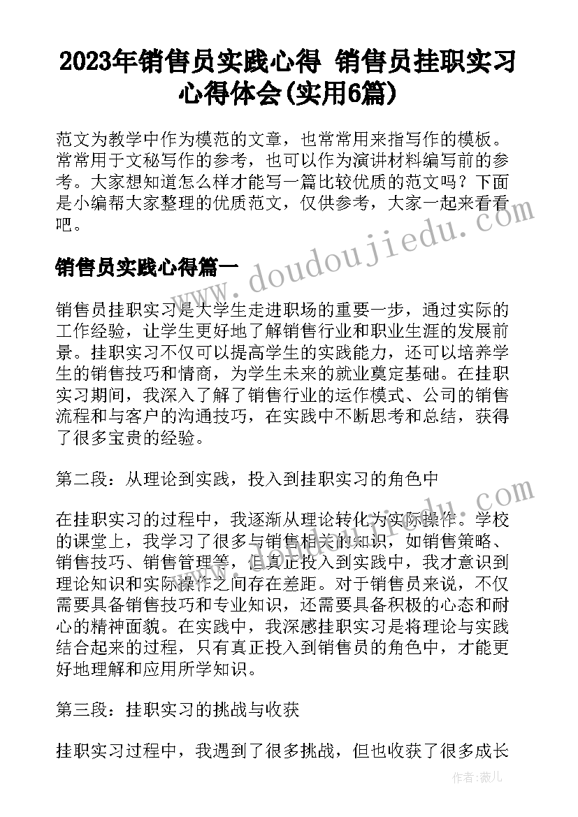 2023年销售员实践心得 销售员挂职实习心得体会(实用6篇)