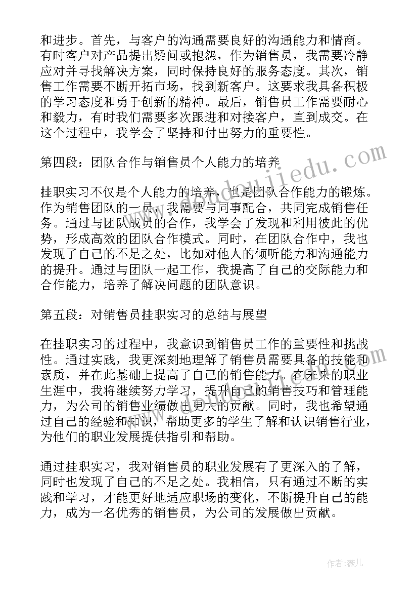 2023年销售员实践心得 销售员挂职实习心得体会(实用6篇)