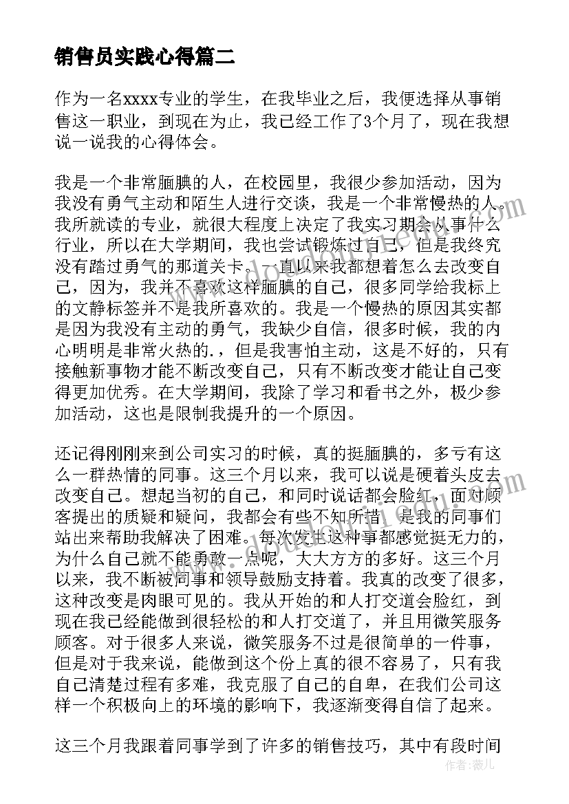 2023年销售员实践心得 销售员挂职实习心得体会(实用6篇)