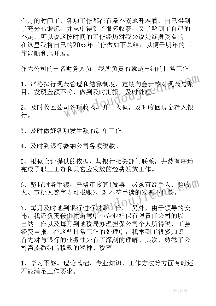 2023年出纳个人工作总结(精选5篇)