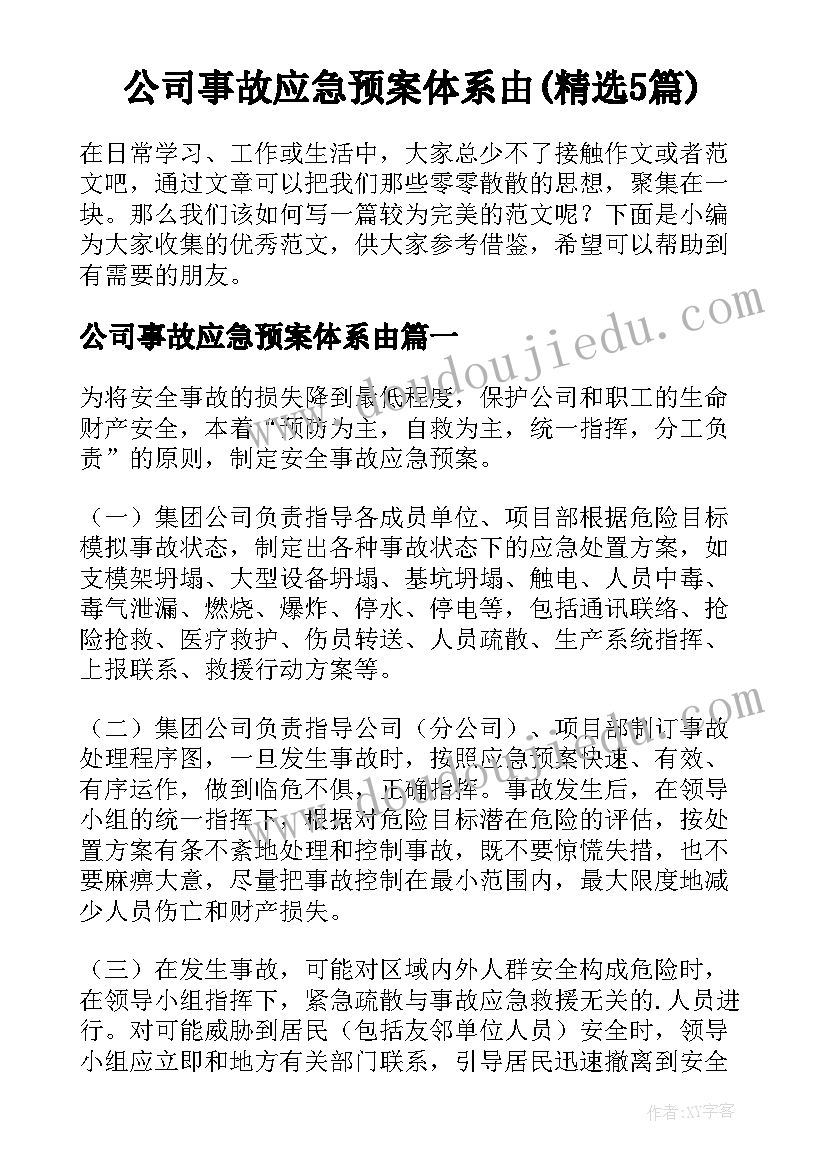 公司事故应急预案体系由(精选5篇)