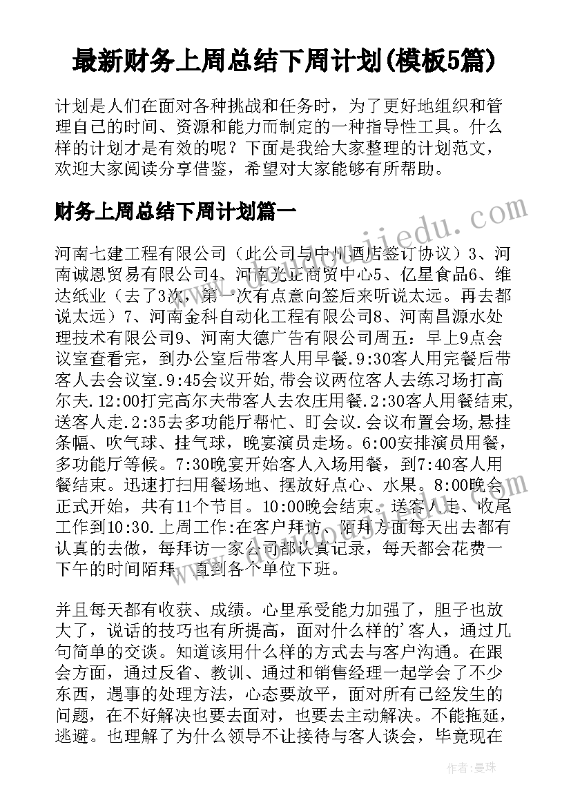 最新财务上周总结下周计划(模板5篇)