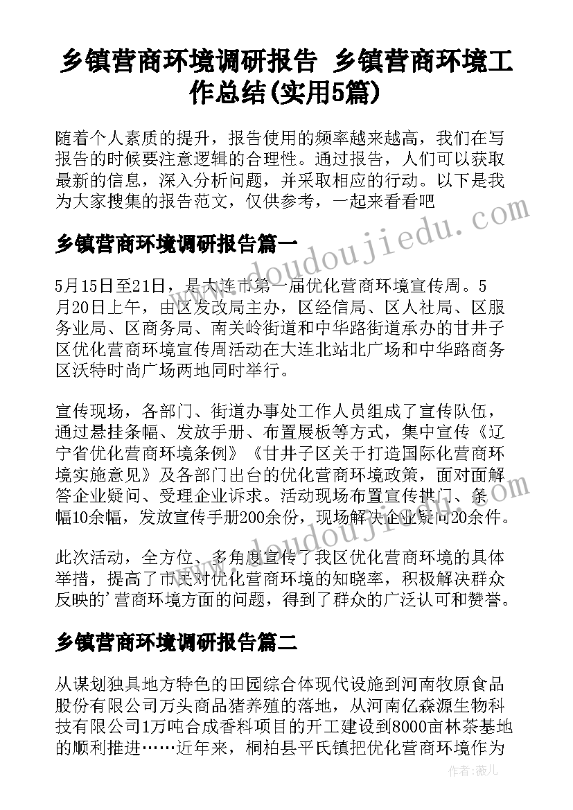 乡镇营商环境调研报告 乡镇营商环境工作总结(实用5篇)