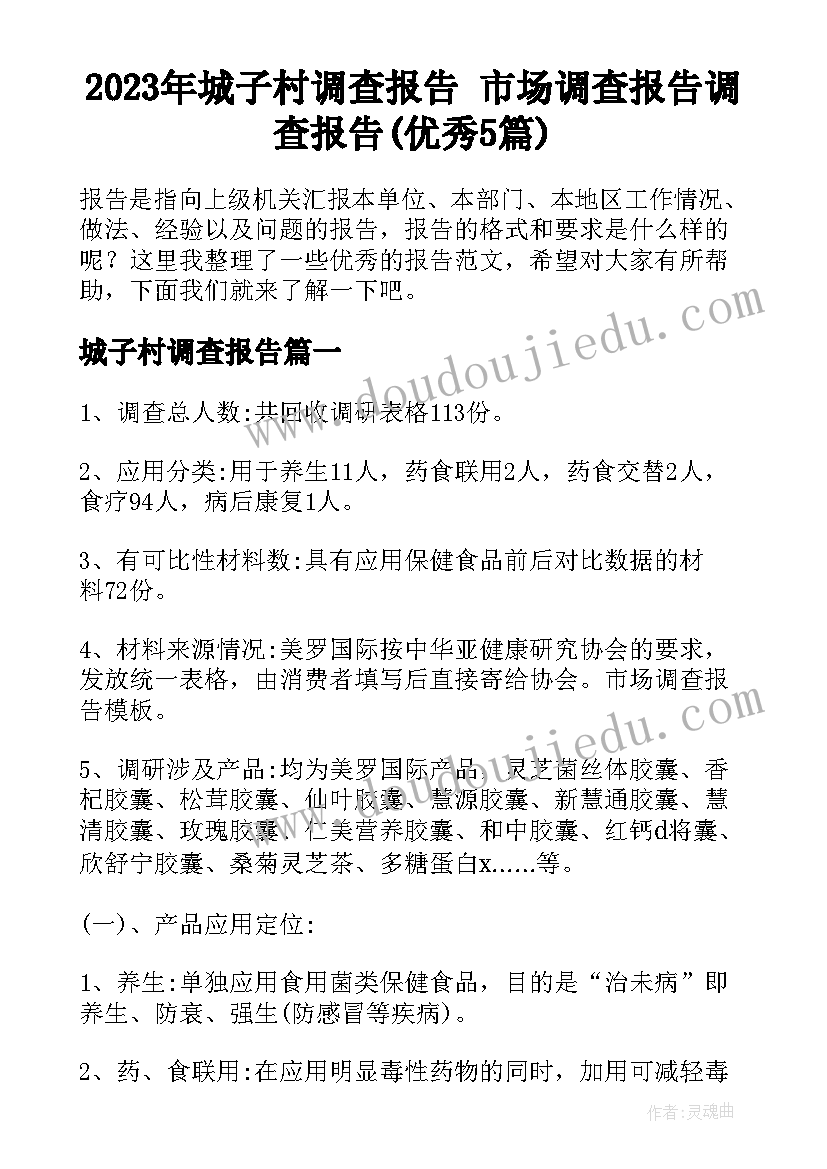 2023年城子村调查报告 市场调查报告调查报告(优秀5篇)