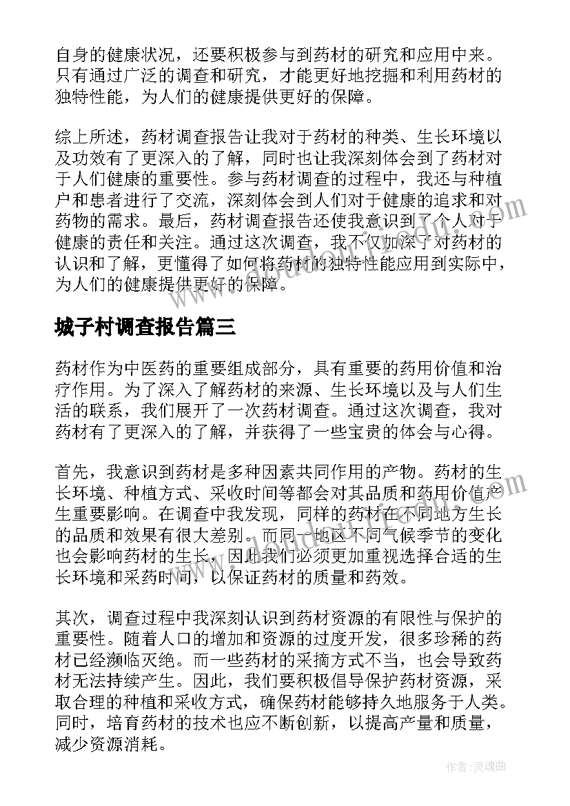 2023年城子村调查报告 市场调查报告调查报告(优秀5篇)