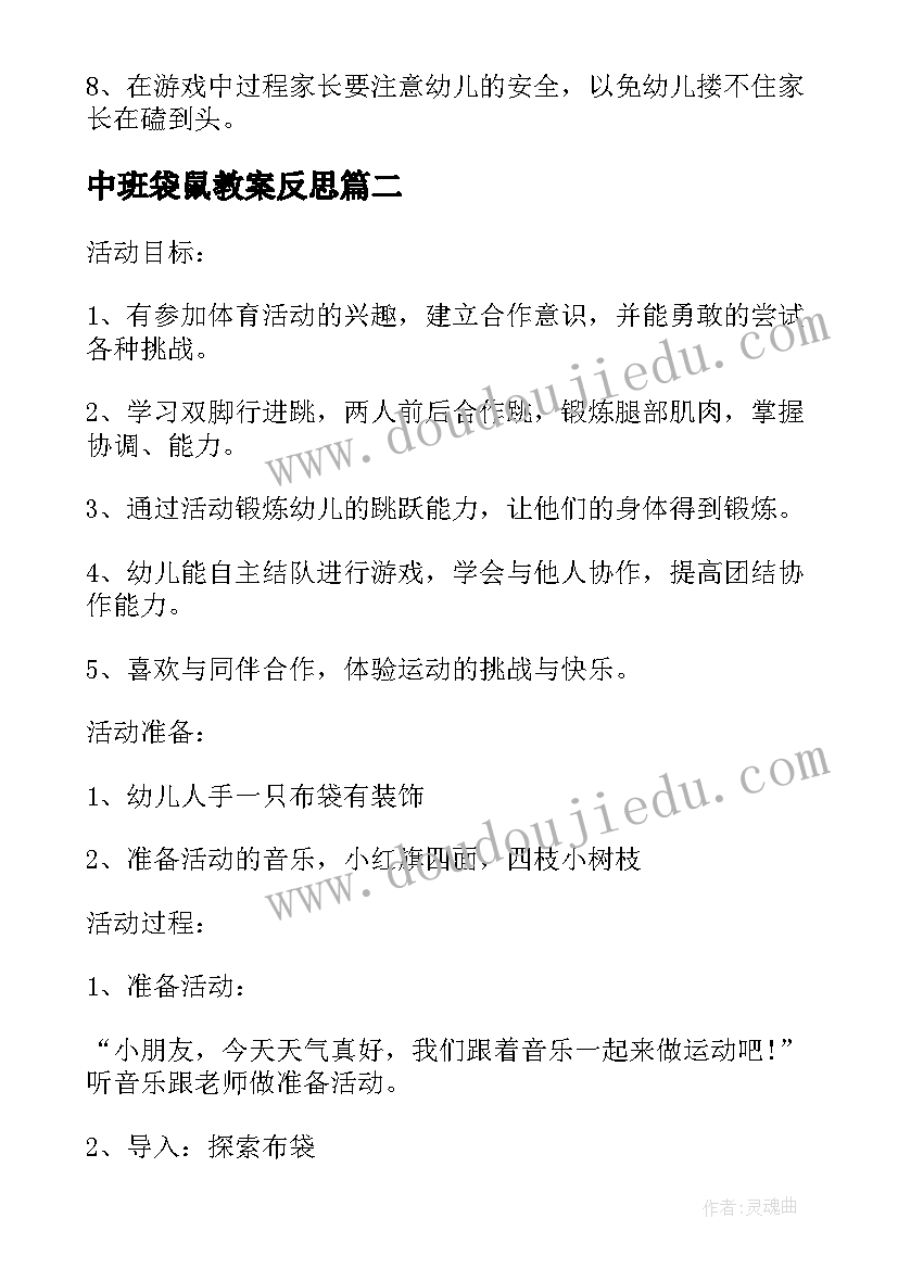 2023年中班袋鼠教案反思(通用5篇)