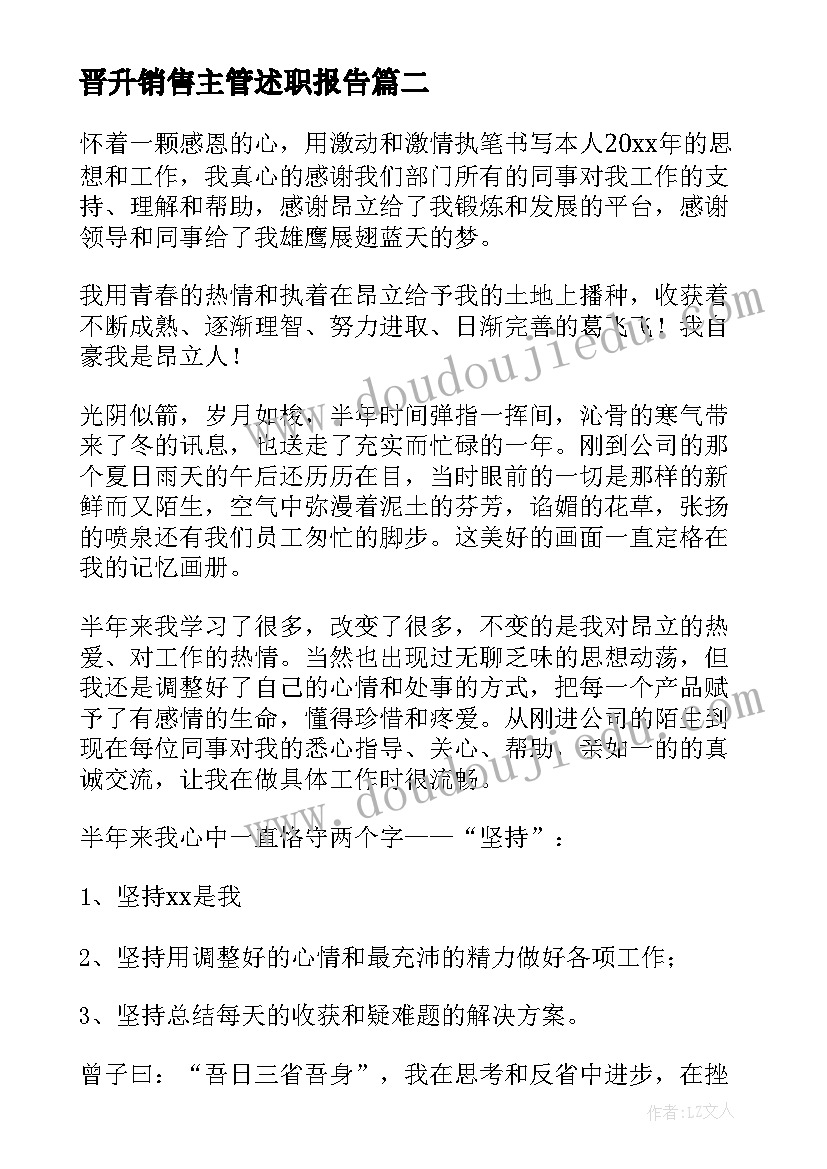 2023年晋升销售主管述职报告(汇总5篇)