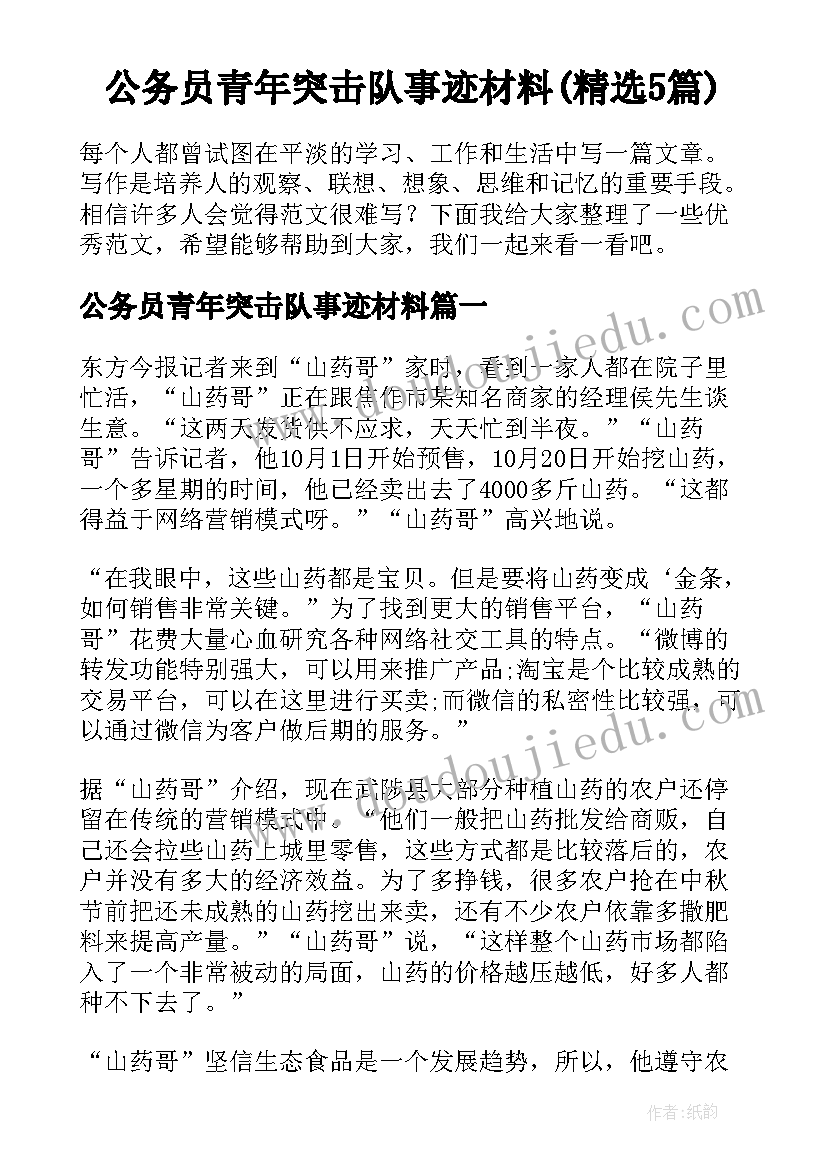 公务员青年突击队事迹材料(精选5篇)