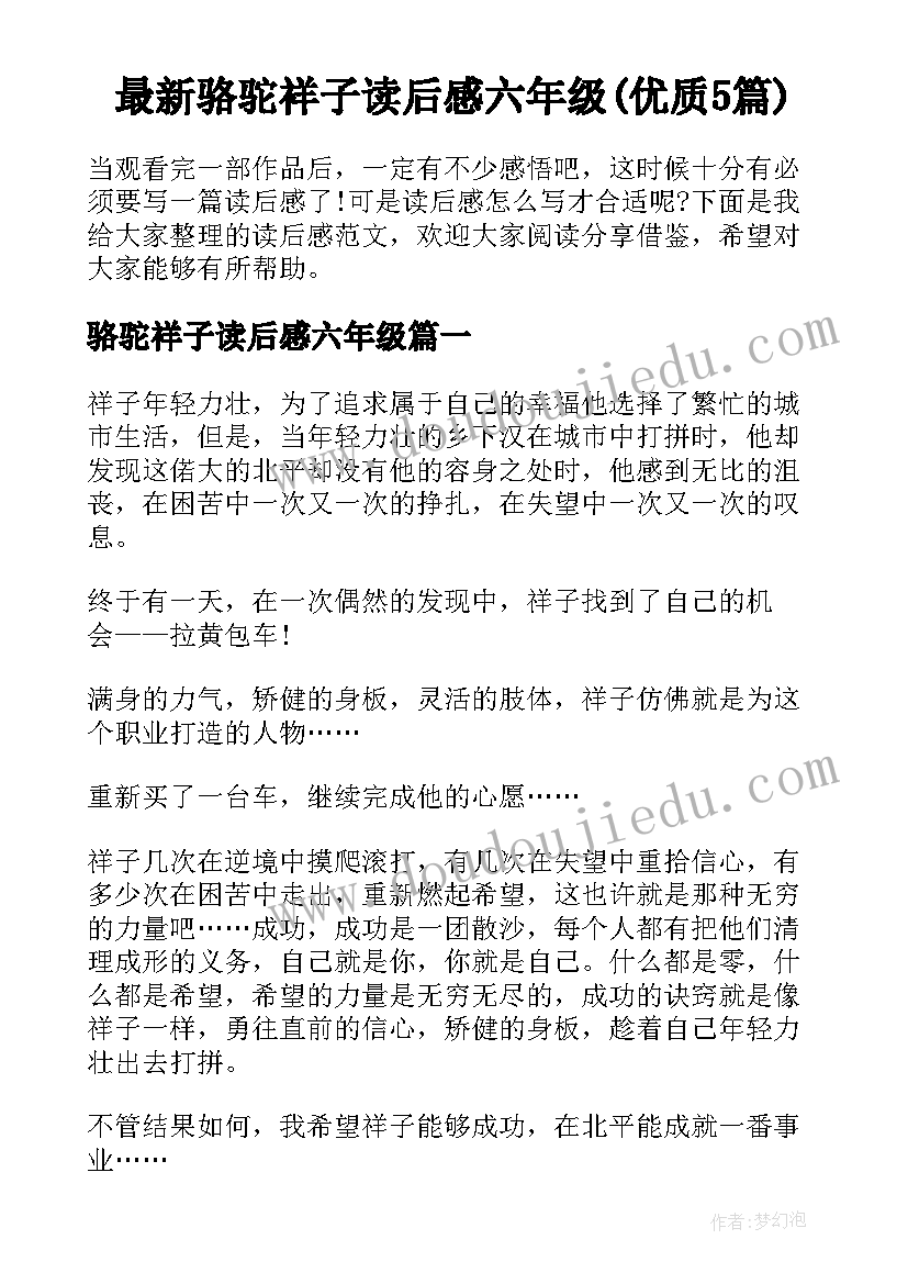 最新骆驼祥子读后感六年级(优质5篇)