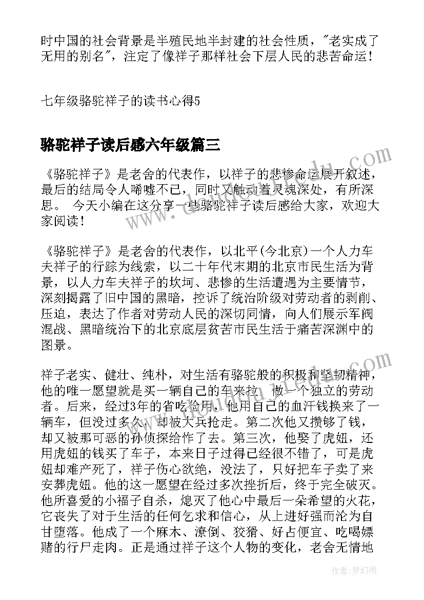 最新骆驼祥子读后感六年级(优质5篇)